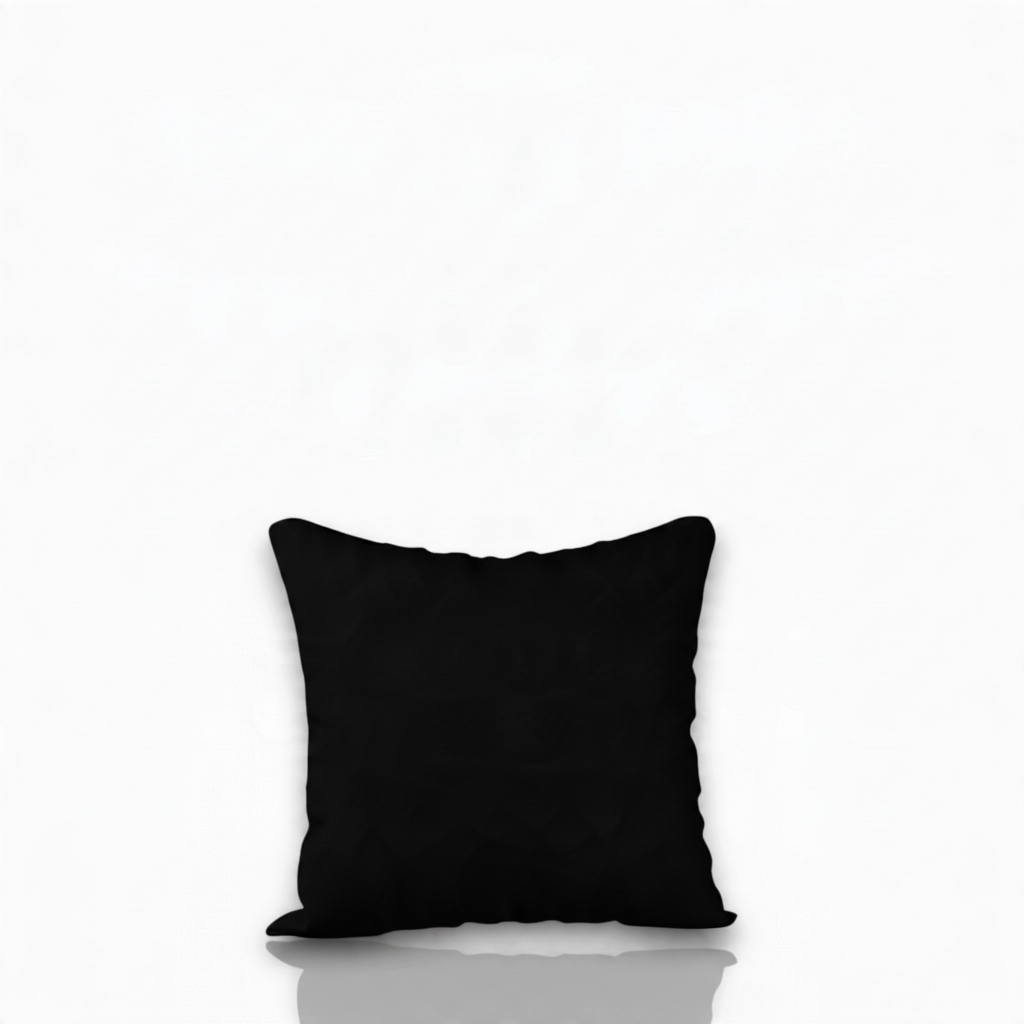 HD Black Standard decorative pillowcase by HD Decor, featuring a solid black design in a classic square silhouette for modern interior styling.
 Copy